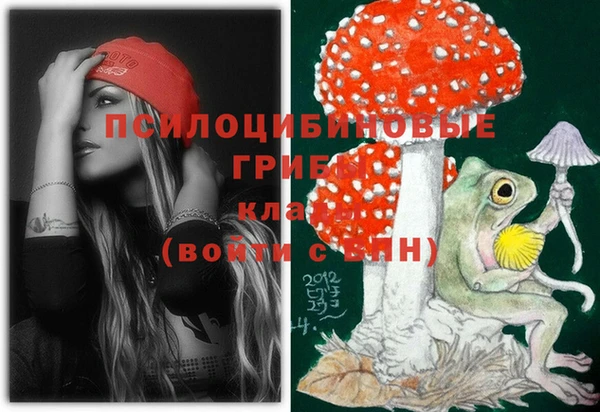 COCAINE Инсар
