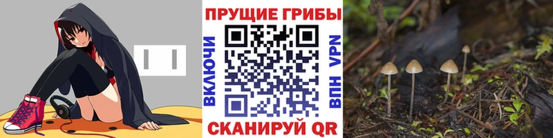 Галлюциногенные грибы ЛСД  Купить  Ейск 